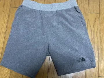 THE NORTH FACE 숏팬츠 그레이