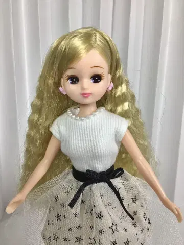 리카짱 인형 LD-17 무스탕 믹스