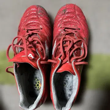 모나르시다 2 엘리트