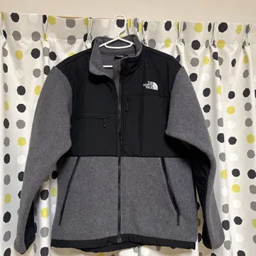 THE NORTH FACE 데날리 자켓
