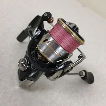 다이와 24 루비아스 LT2500S 에깅 배스 낚시용 DAIWA