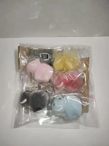 플로키 프렌즈 컬러풀 치비베코짱 5종 컴플리트