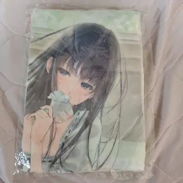 Innocent Grey FLOWERS 화이트 깃털 스오 담요