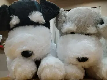 슈나와 밥 초 울트라 BIG 2 봉제 인형 전 2종 세트