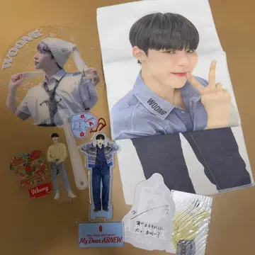 AB6IX WOONG 굿즈 세트 전웅 웅군