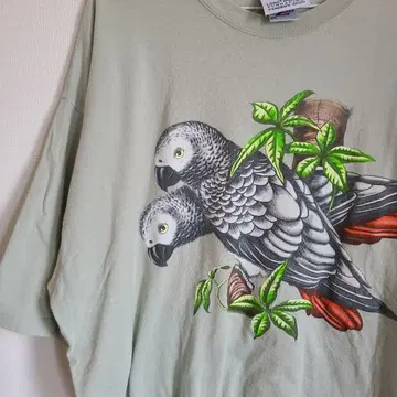 90s 요무 프린트 애니멀 T셔츠 잉꼬 오리모이 야생조 bird