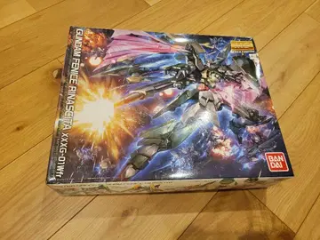 MG 1/100 건담 페니체 리나시타