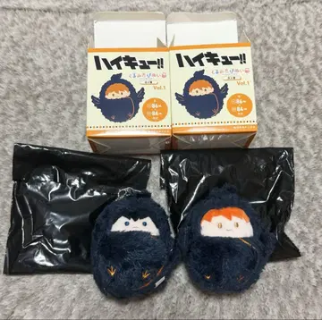 하이큐 싸개 타피스트리 카라스노 히나타 쇼요 카게야마 토비오
