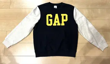 GAP 맨투맨 속기모