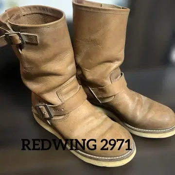 레드윙 2971