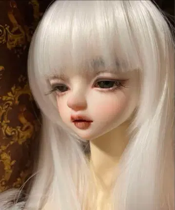SDM 사이즈 1/4 인형 커스텀 헤드 soom serin&rico