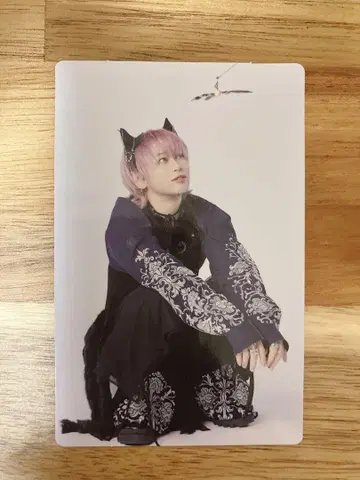 초특급 슈야 NINE LIVES 솔로반 트레이딩 카드 고양이