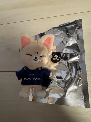 straykids 스키즈 KARMA SKZOO 아이엔 폭시니