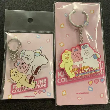 빤쮸토끼 닌포챠무 키미마로 팝업 콜라보 카와이소니!