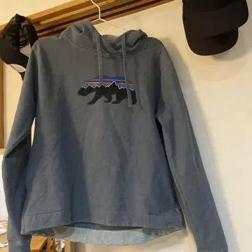 파타고니아 피츠로이 베어 그래픽 후드티 L