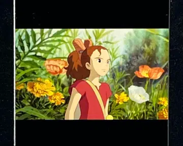 42 벼랑 위의 포뇨 지브리 미술관 필름 티켓 입장권