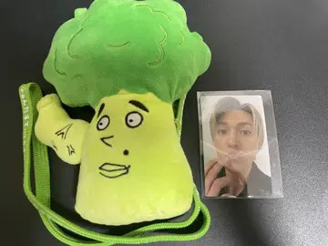 야기 유세이 야기코리 트레카세트