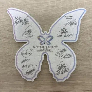 FANTASTICS BUTTERFLY EFFECT 낙하물 나비