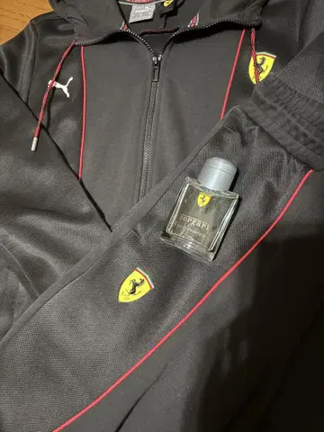 puma Ferrari 셋업