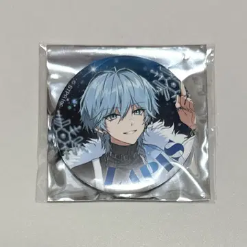Meteorites  Lapis winter 캔뱃지