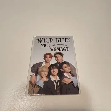 WILDBLUE 입장 혜택 한정판 트레이딩 카드