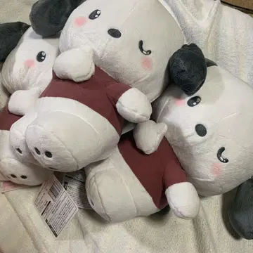 산리오 포차코 BIG 봉제 인형 30cm 새상품 x 3개