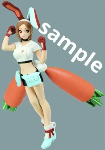 월면토병기 미나 컬렉션 플레이아데스 츠키시로 미나 애니메이션 컬러 피규어