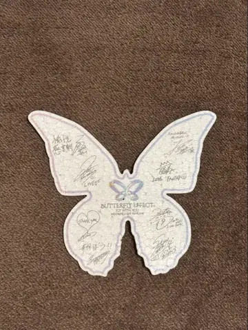 BUTTERFLYEFFECT 낙하물