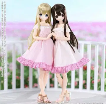 AZONE 사아라 아리사 Sweet Days 인형 set 2세트
