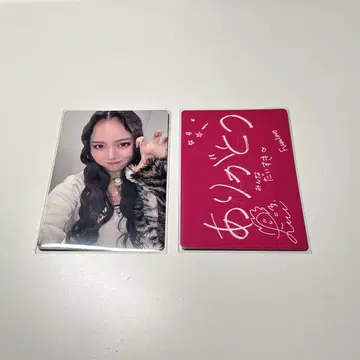 nonogirls 노노가 트레이딩 카드 후미노