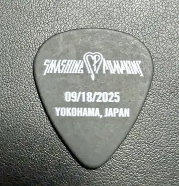 SMASHING PUMPKINS 요코하마 피크