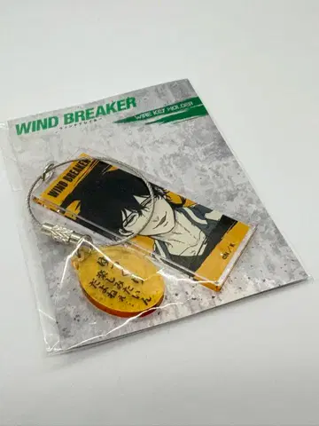 토카메 조 와이어 키링 WIND BREAKER 윈브레