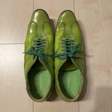 밝은 그린 드레스 신발