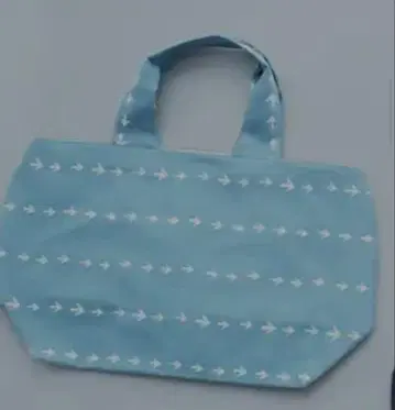 미나 페르호넨 파니니 백