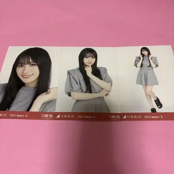 노기자카46 카와사키 사쿠라 브로마이드 맨투맨 컴프