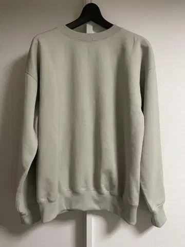 AURALEE POLYESTER SWEAT P/O 맨투맨 오라리