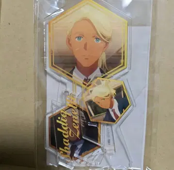 샤디크 인큐베이션 파티 아크릴 스탠드 수성의 마녀