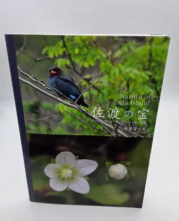 사도의 보물 생명을 키우는 섬-새 꽃 생명체들의 낙원 사토 후지미