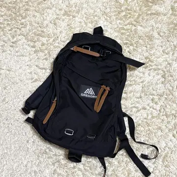 GREGORY DAY PACK 데이팩 백팩 블랙