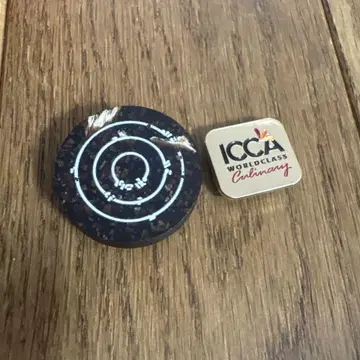 UAE 아랍 ICCA WORLD CLASS 핀 배지 마그넷