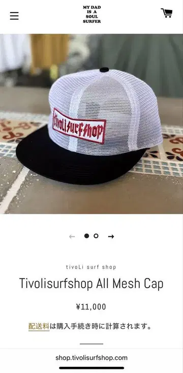 psicom Tivolisurfshop All Mesh Cap