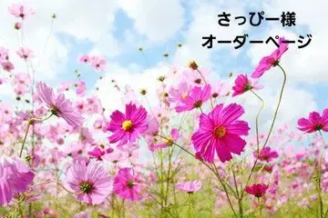 삿삐 님 오더 상담 페이지