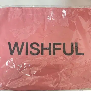 NCT WISH WISHFUL 토트백