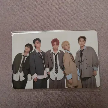 WILDBULE 프리미엄 시트 한정판 트레이딩 카드 wildblue