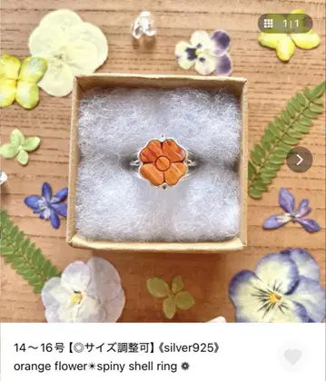 스파이니 쉘 반지 mau jewelry 작가 핸드메이드