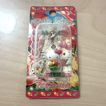 고토치 키티 토야마 한정판 튤립 ver. 지퍼 마스코트 레어