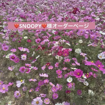 SNOOPY님 오더 페이지