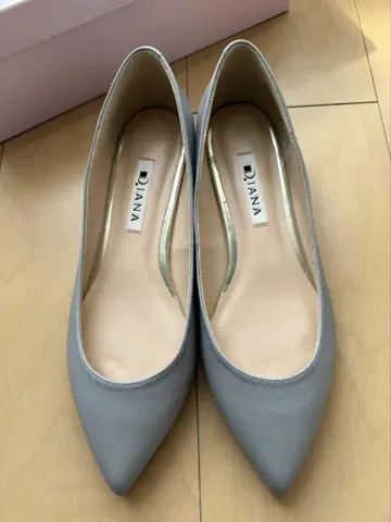 다이애나 로우힐 펌프스 그레이 23cm