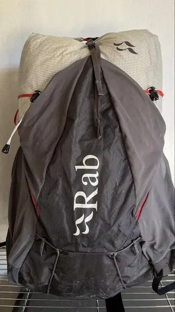 Rab muon40
