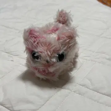 catcatcat! 마리 메종 드 뮤 고양이 봉제 인형